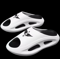 Slides